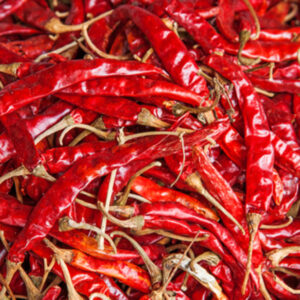 RED CHILLY TEJA WITH STEM