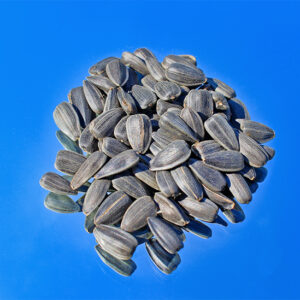 SUNFLOWER SEEDS