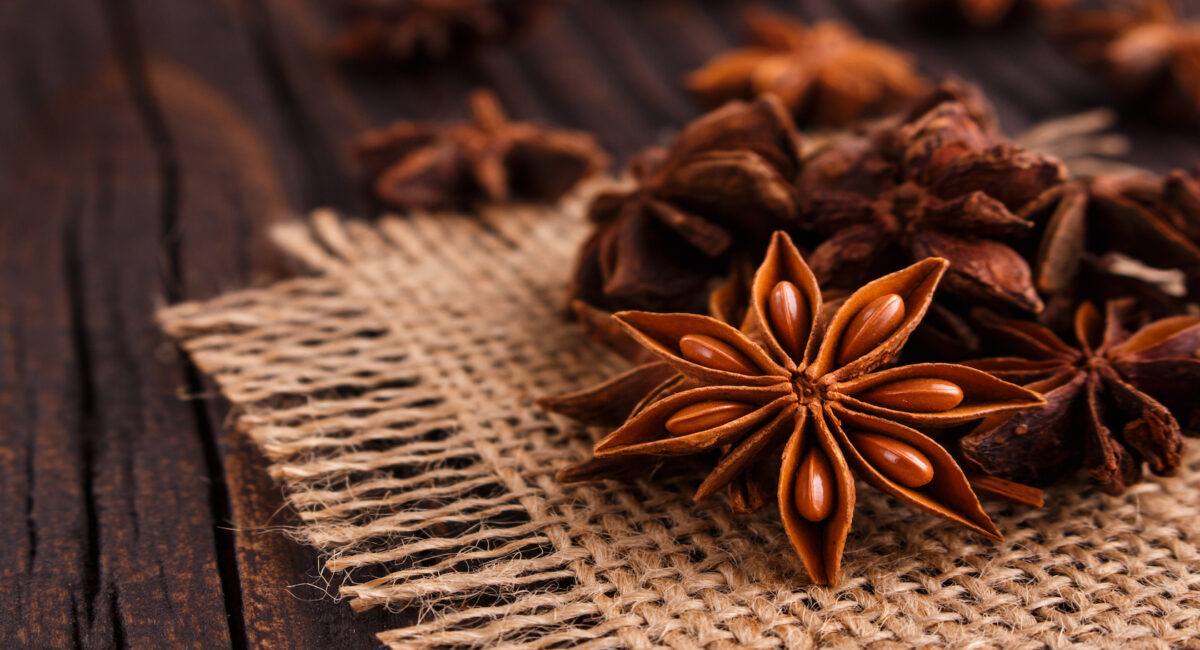 Star anise copy