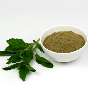 TULSI POWDER